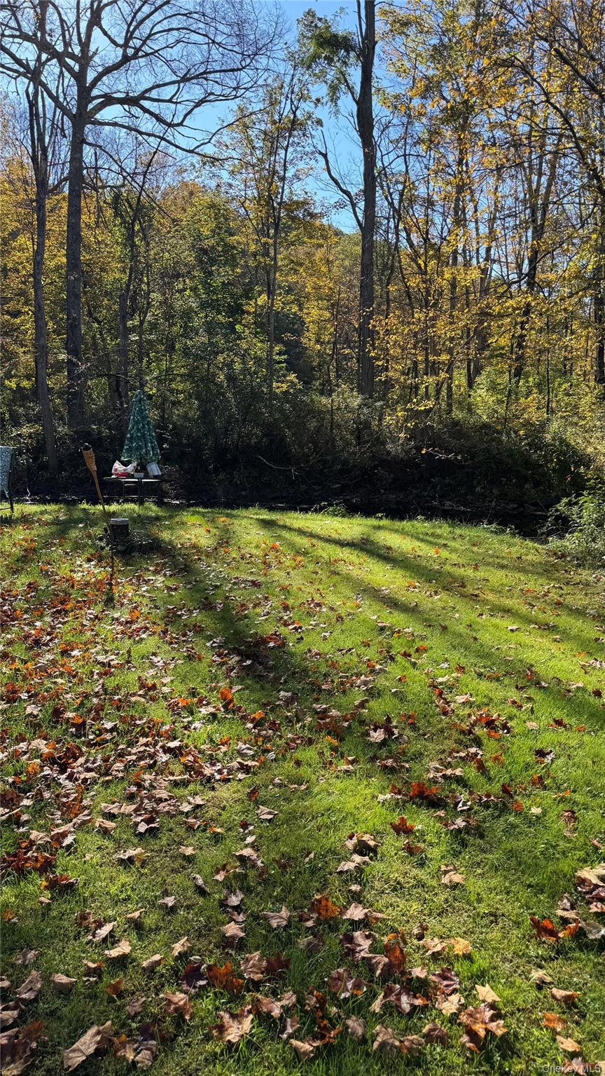 #17 photo, 18 Blue Heron Lane, Staatsburg , NY 12580