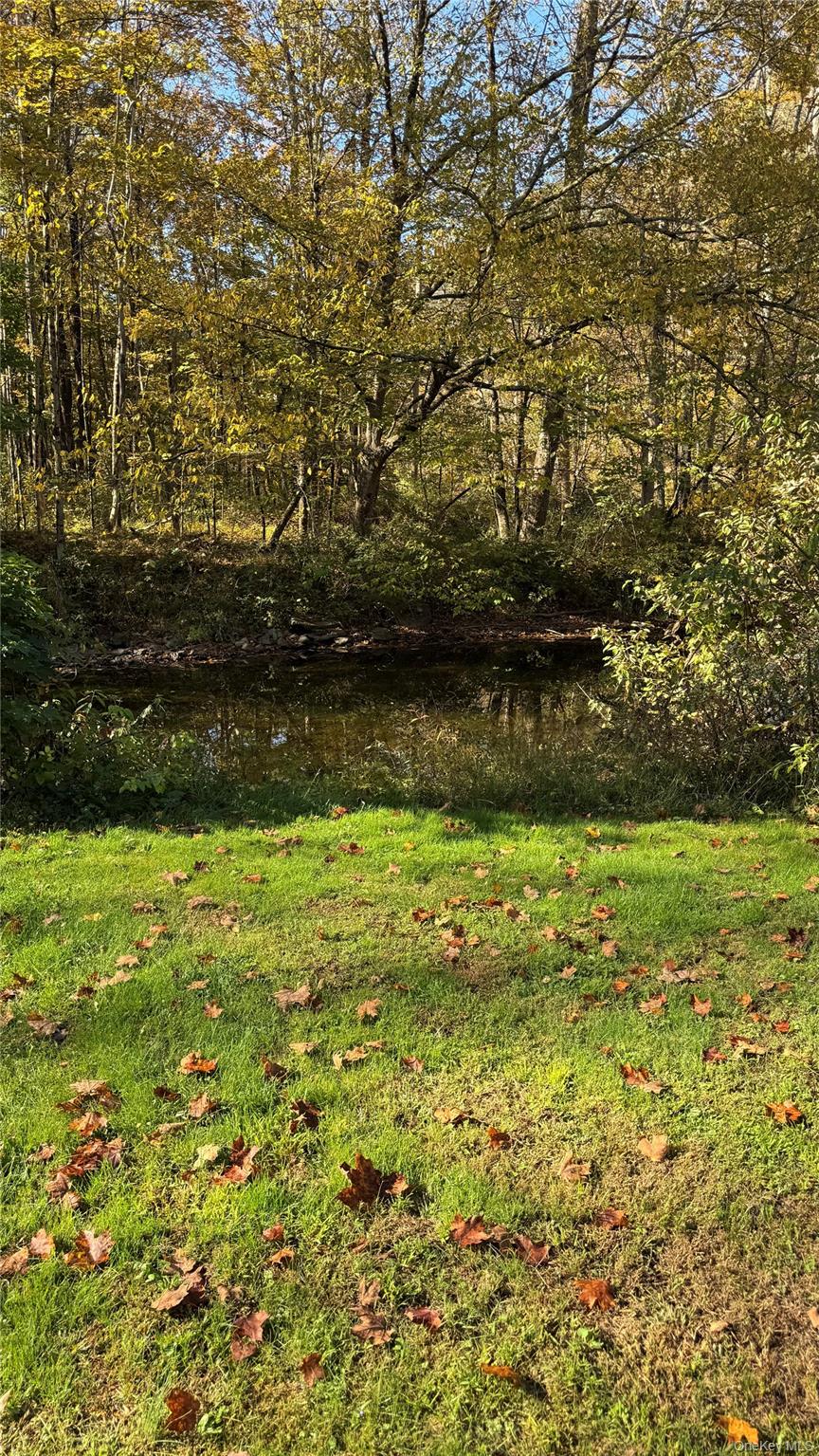 #18 photo, 18 Blue Heron Lane, Staatsburg , NY 12580