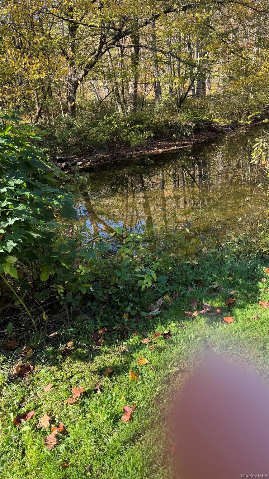 #19 photo, 18 Blue Heron Lane, Staatsburg , NY 12580