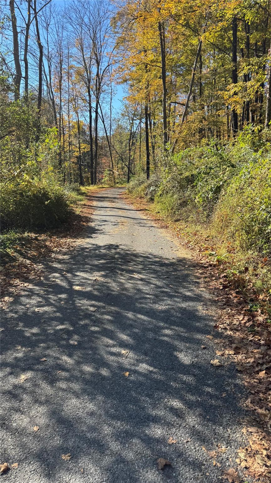 #2 photo, 18 Blue Heron Lane, Staatsburg , NY 12580