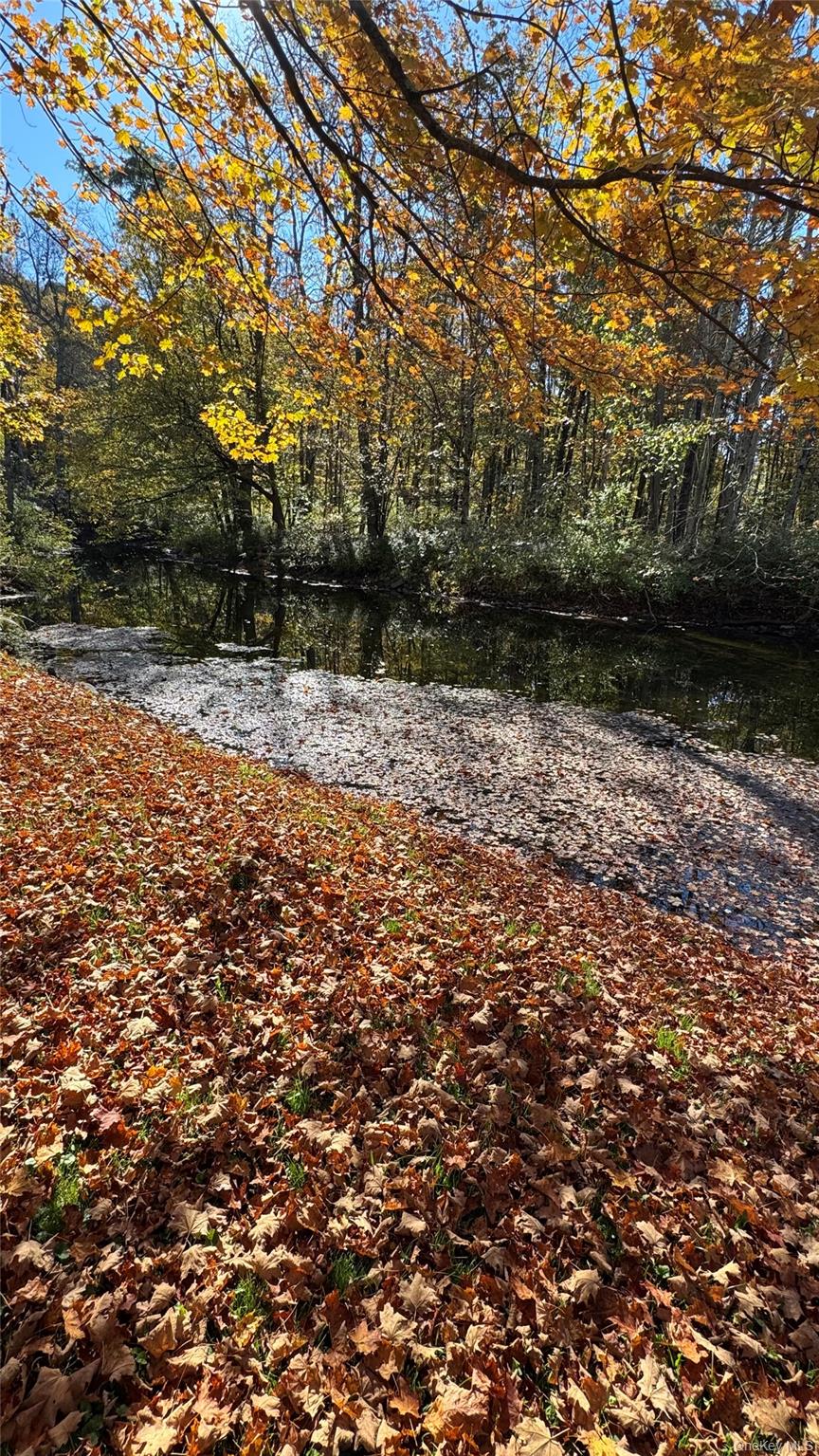 #5 photo, 18 Blue Heron Lane, Staatsburg , NY 12580