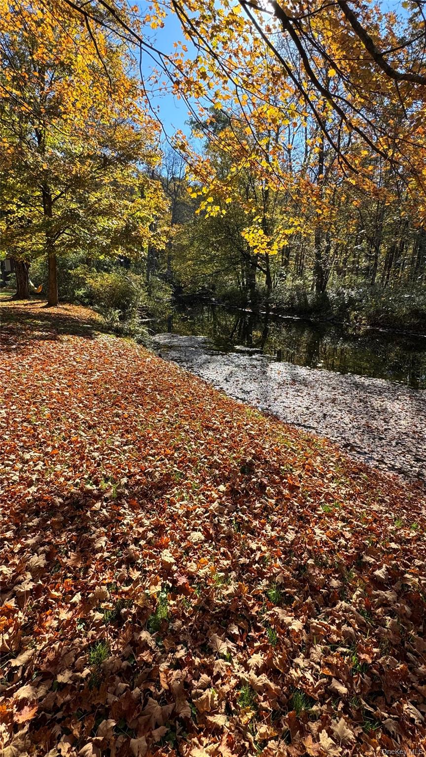 #6 photo, 18 Blue Heron Lane, Staatsburg , NY 12580