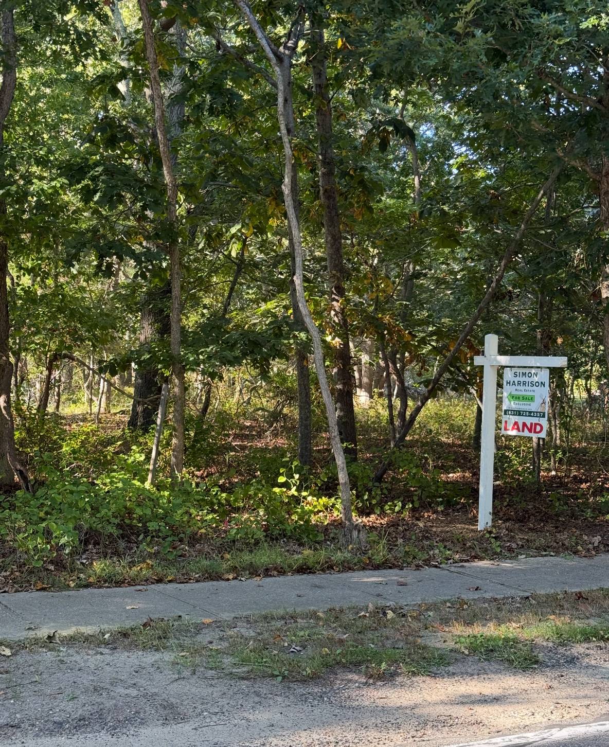 #2 photo, 173 ACCABONAC RD, サフォーク郡 East Hampton , NY 11937