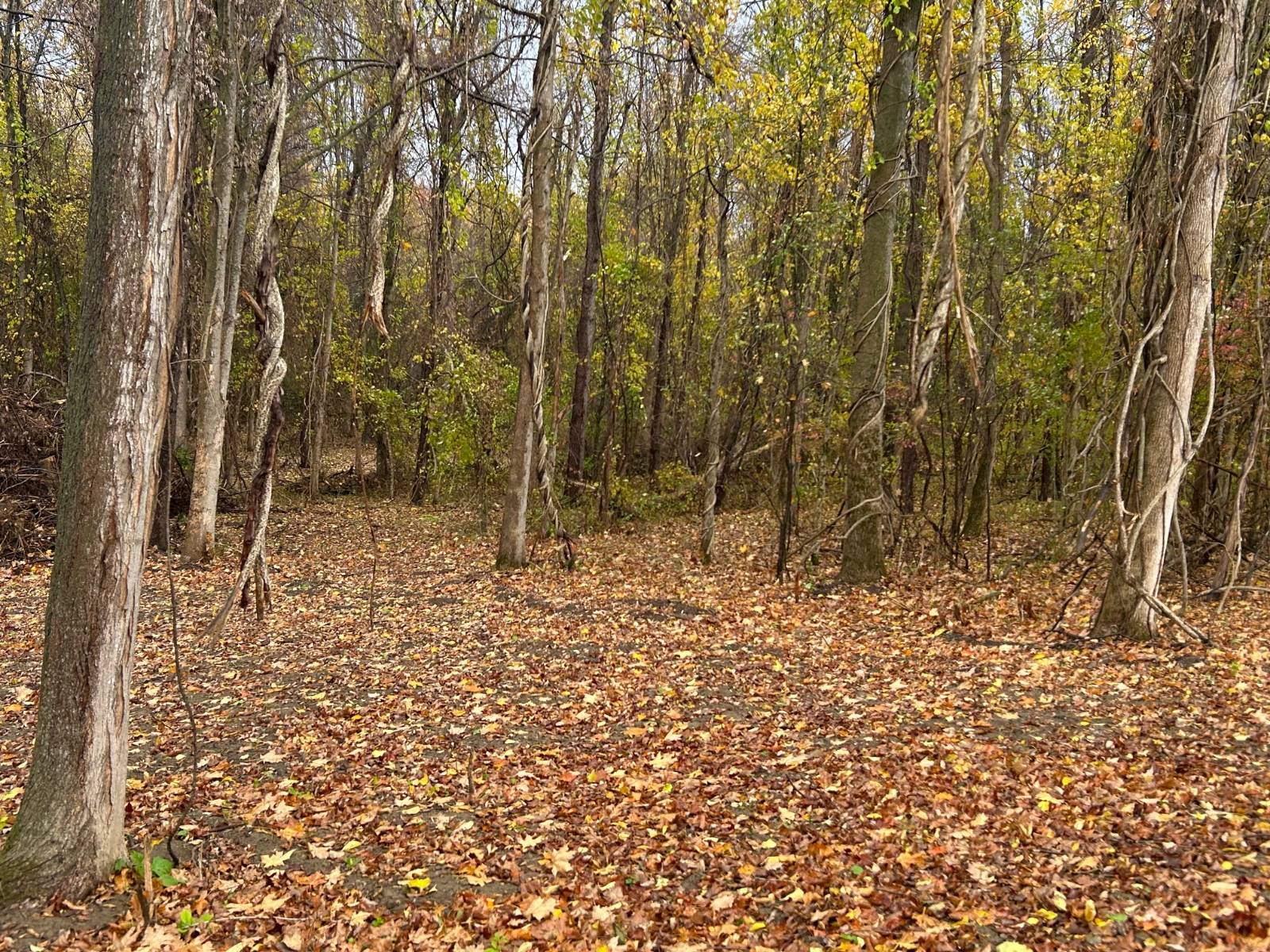 #4 photo, 00 Jean Drive, Amsterdam , NY 12010