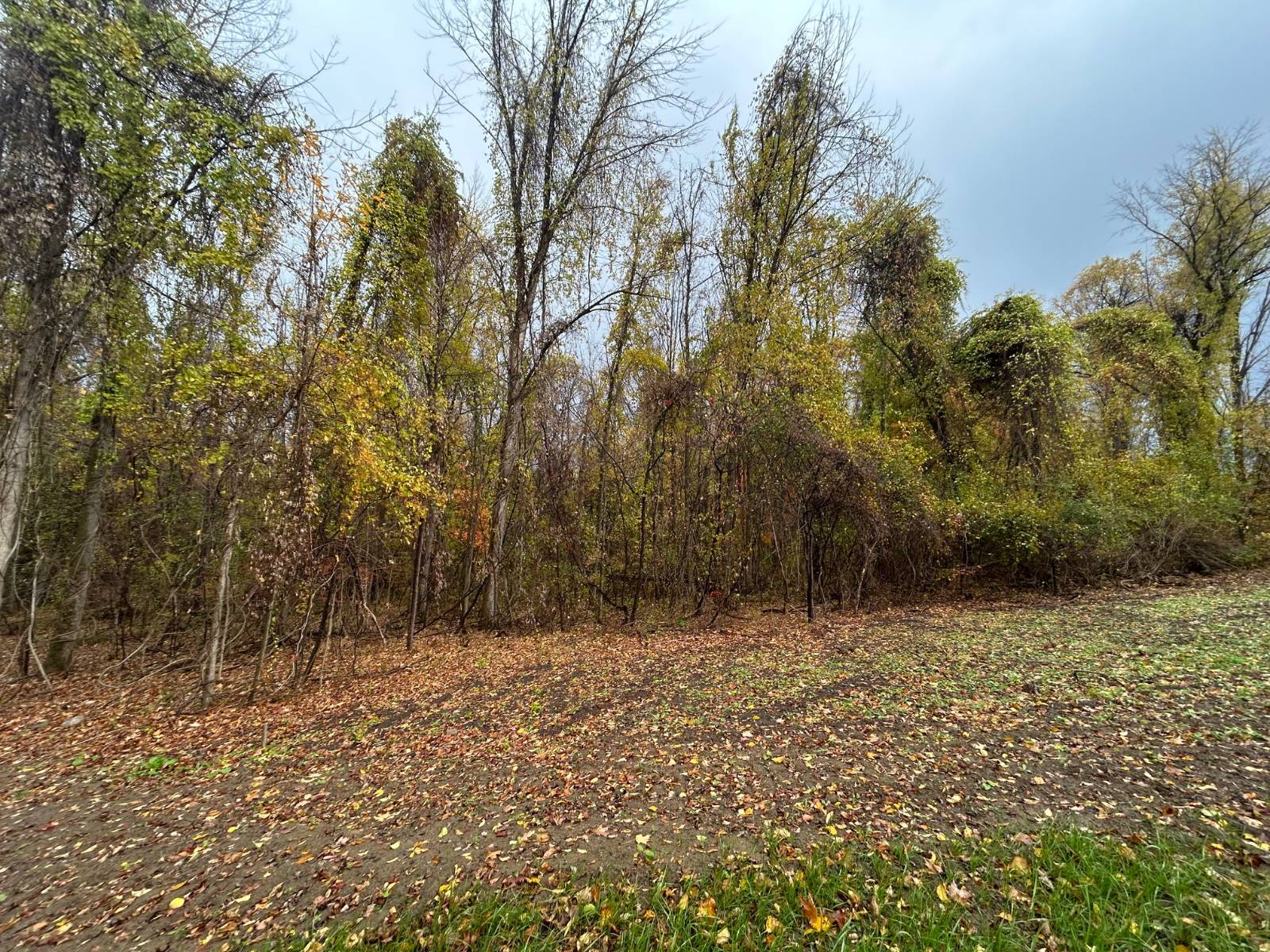 #5 photo, 00 Jean Drive, Amsterdam , NY 12010