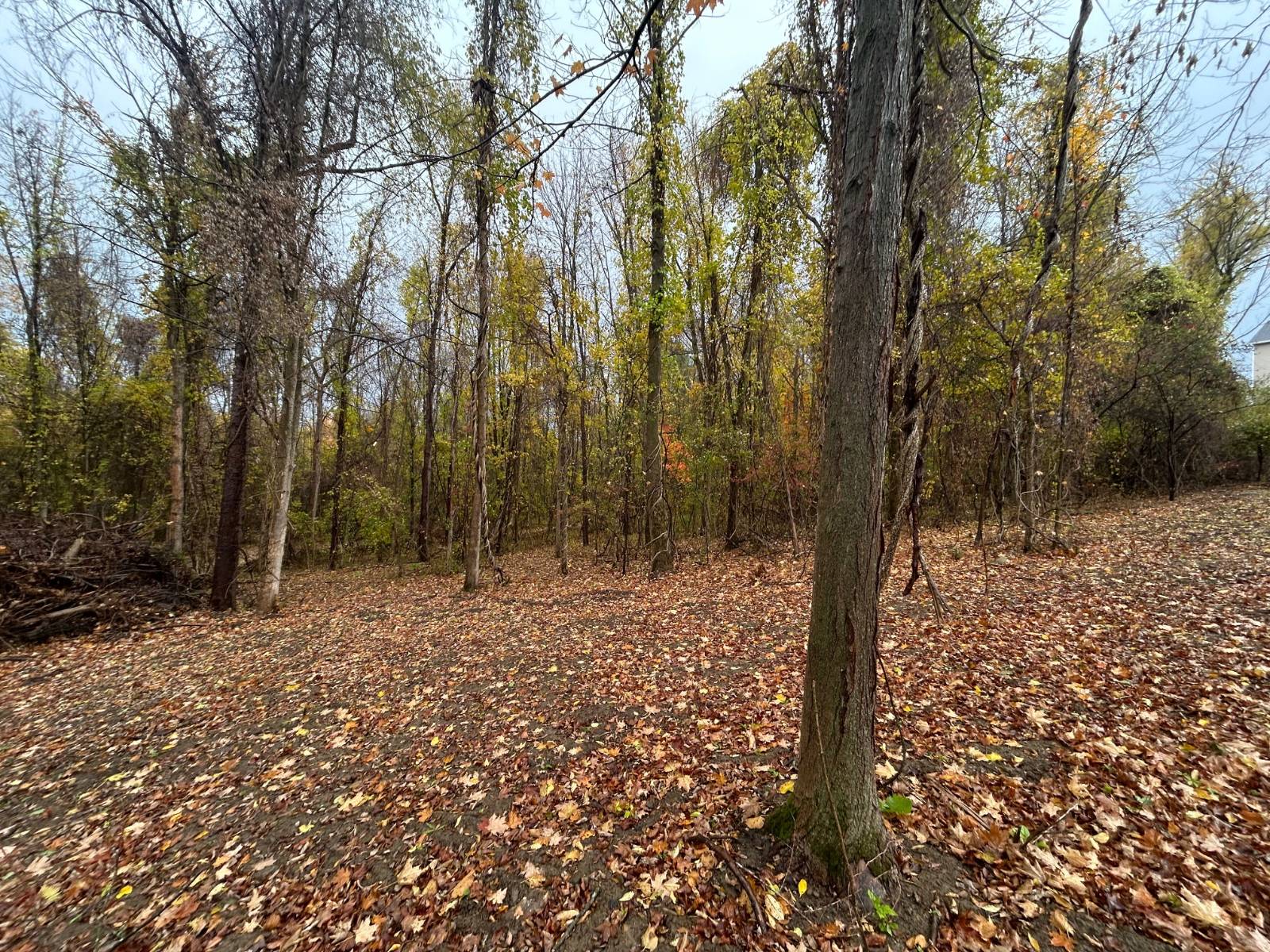 #6 photo, 00 Jean Drive, Amsterdam , NY 12010