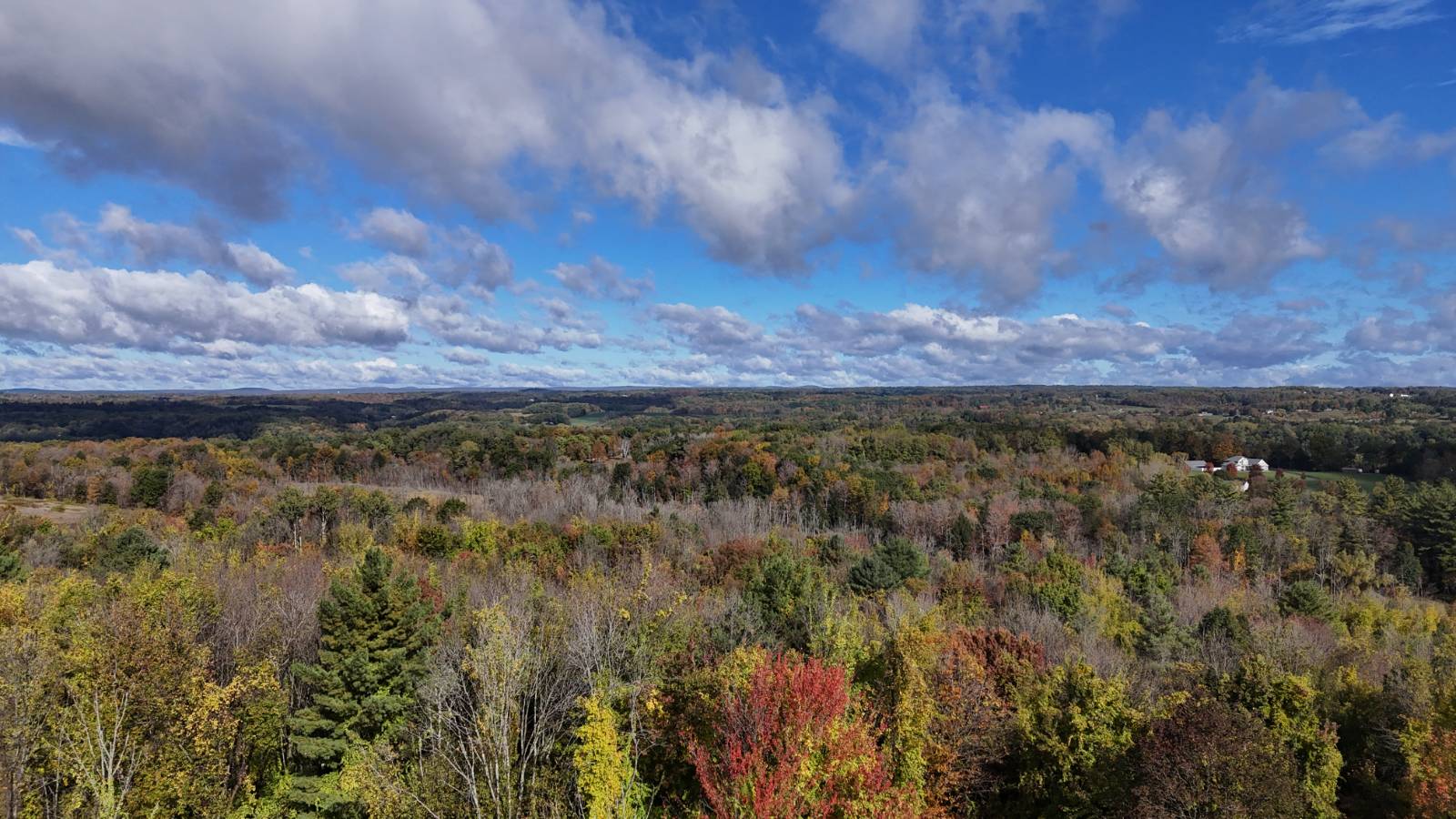 #7 photo, 00 Jean Drive, Amsterdam , NY 12010