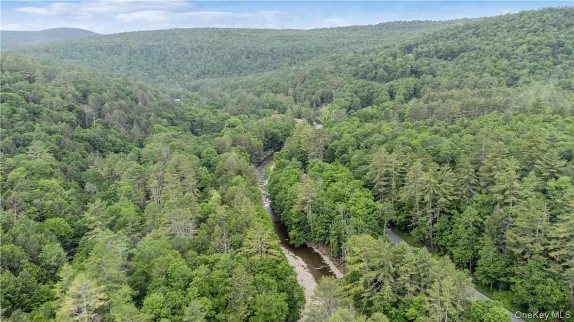 #12 photo, 56 Saw Mill Road, Claryville , NY 12725