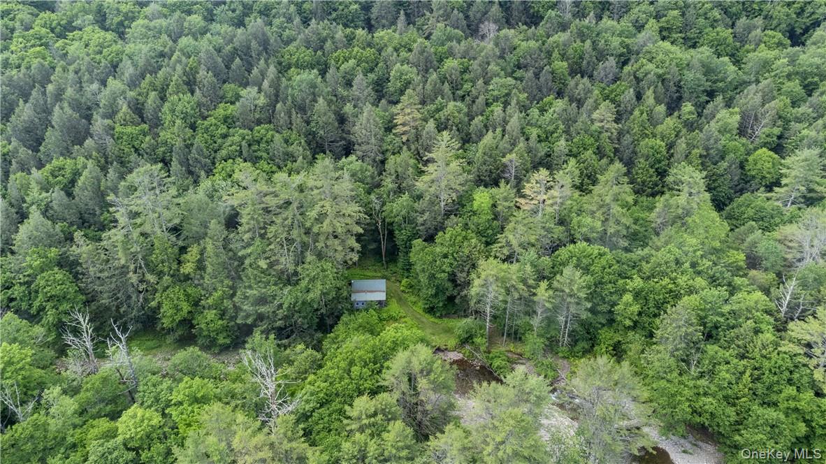 #14 photo, 56 Saw Mill Road, Claryville , NY 12725