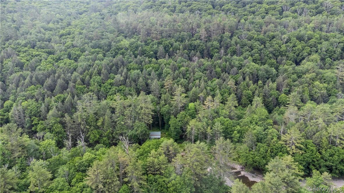 #15 photo, 56 Saw Mill Road, Claryville , NY 12725