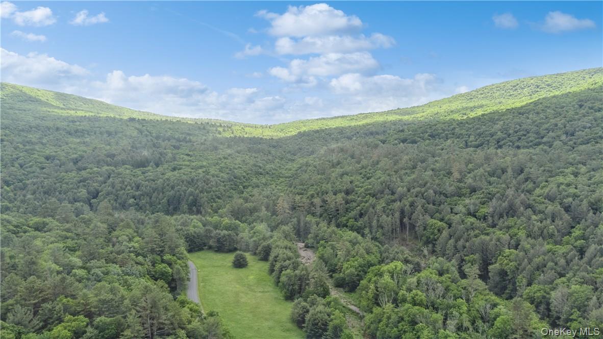 #16 photo, 56 Saw Mill Road, Claryville , NY 12725