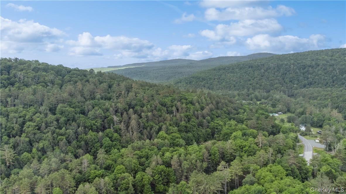 #19 photo, 56 Saw Mill Road, Claryville , NY 12725