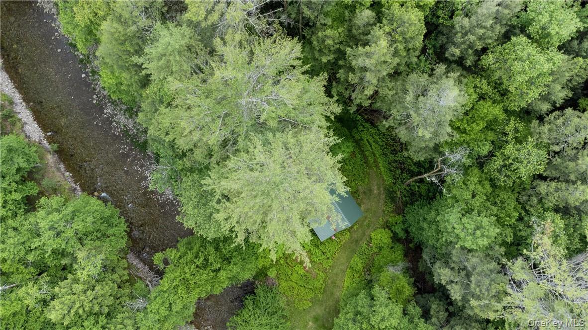 #4 photo, 56 Saw Mill Road, Claryville , NY 12725