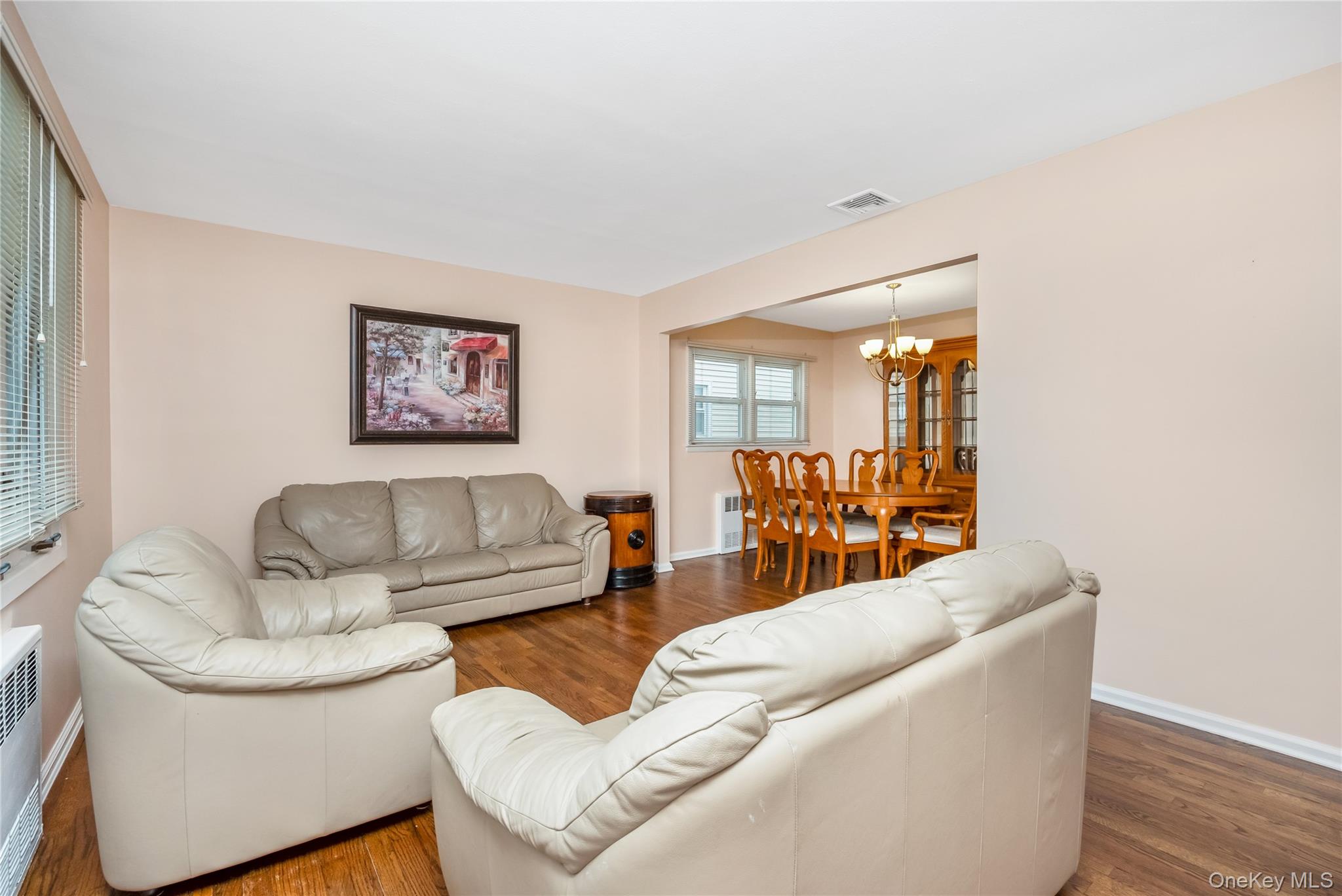 #5 photo, 342 Lucille Avenue, ナッソー郡 Elmont , NY 11003