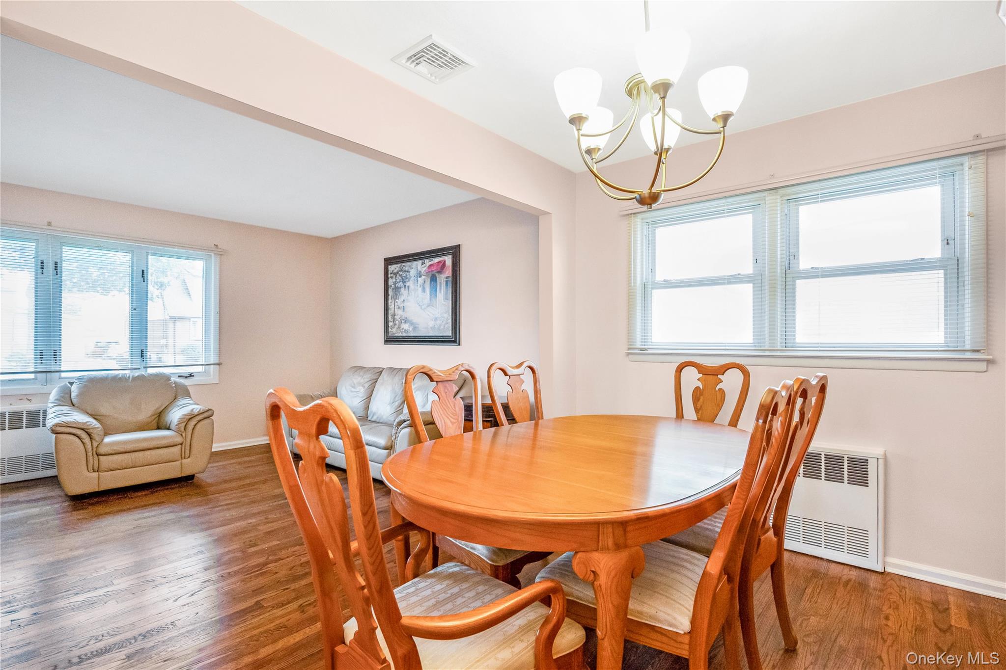 #8 photo, 342 Lucille Avenue, ナッソー郡 Elmont , NY 11003