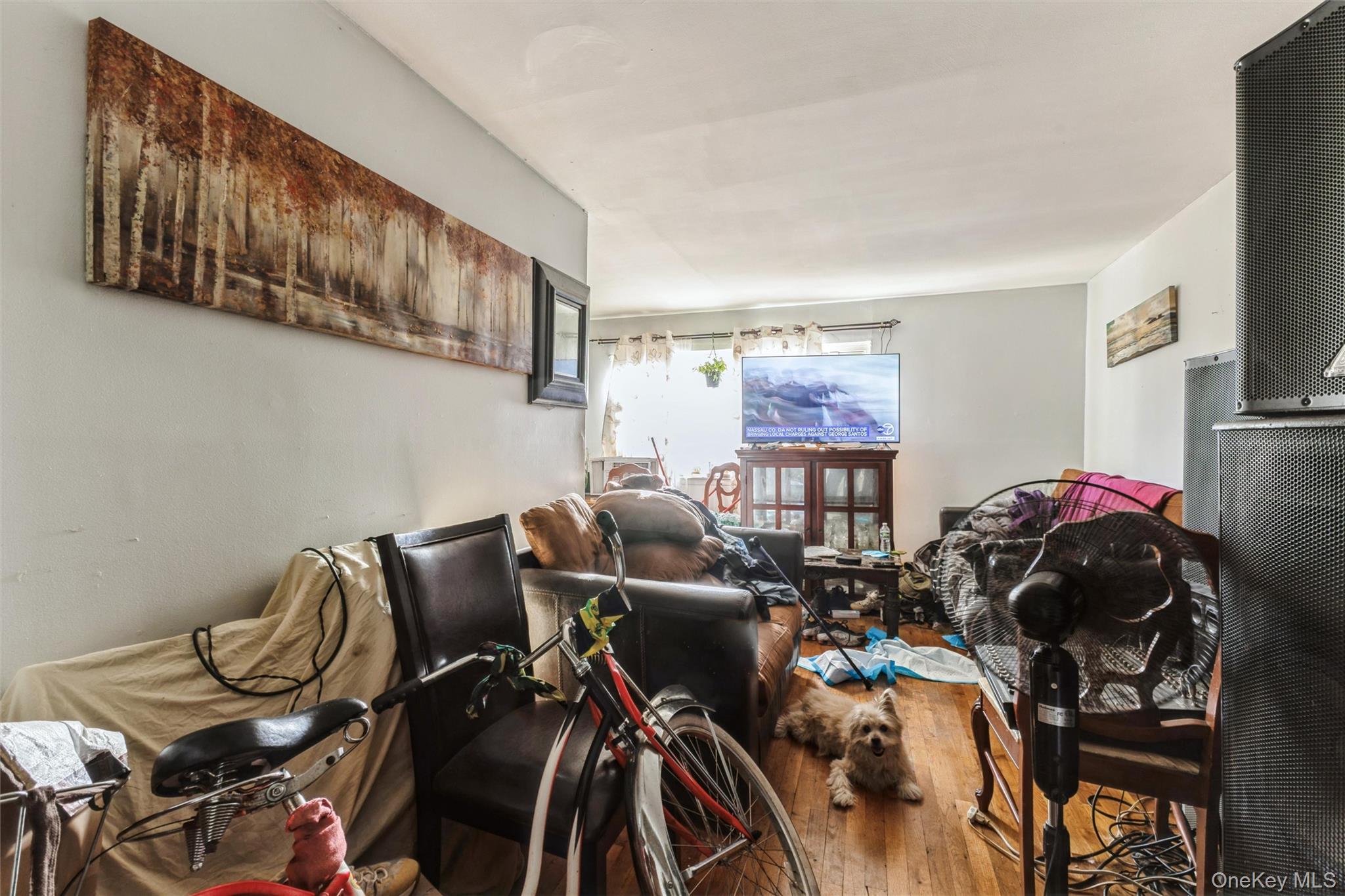 #4 photo, 980 Jerome Street, ブルックリン区 Brooklyn , NY 11207
