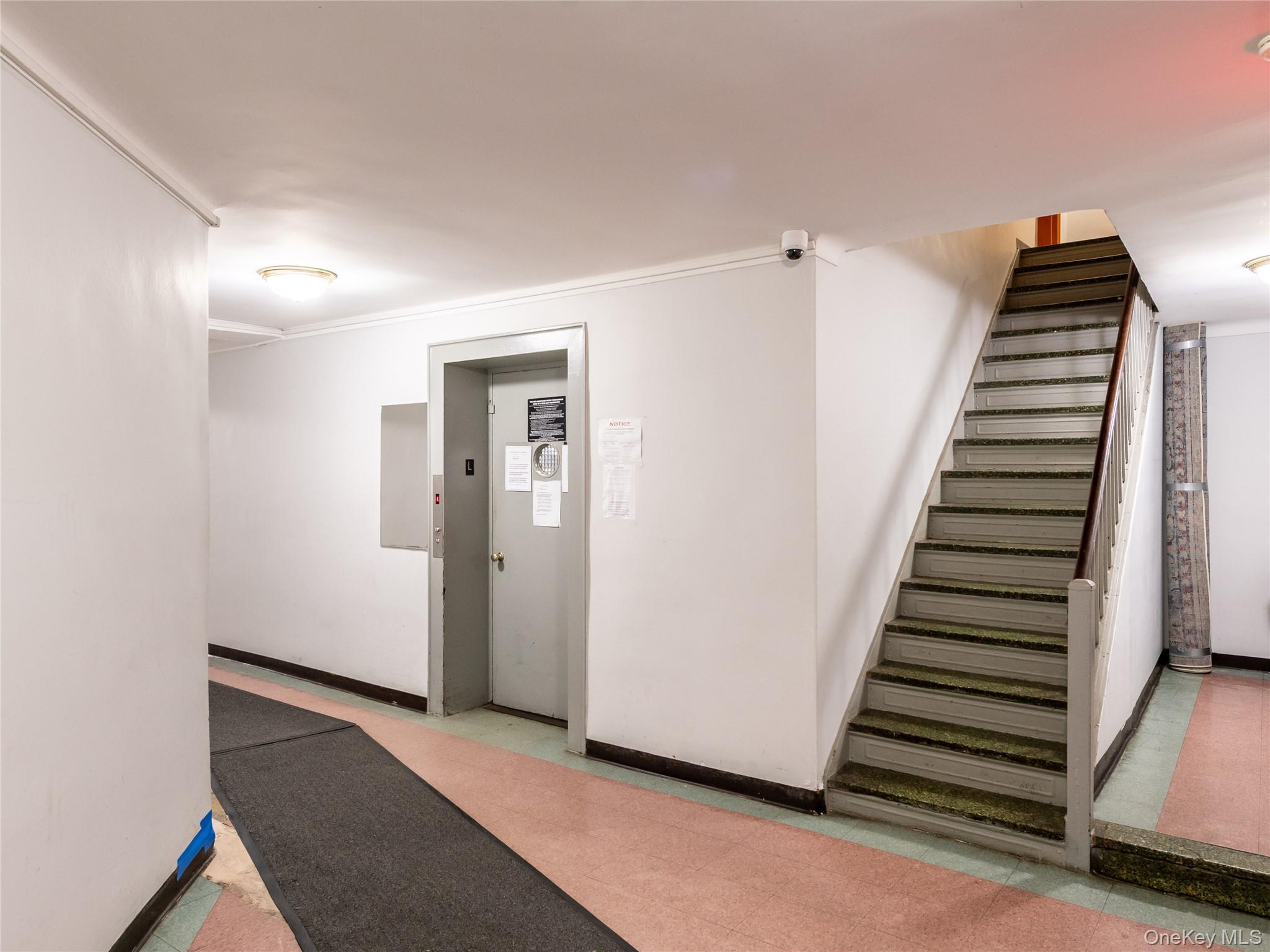 #3 photo, 63-60 102nd Street, クイーンズ区 Rego Park , NY 11374