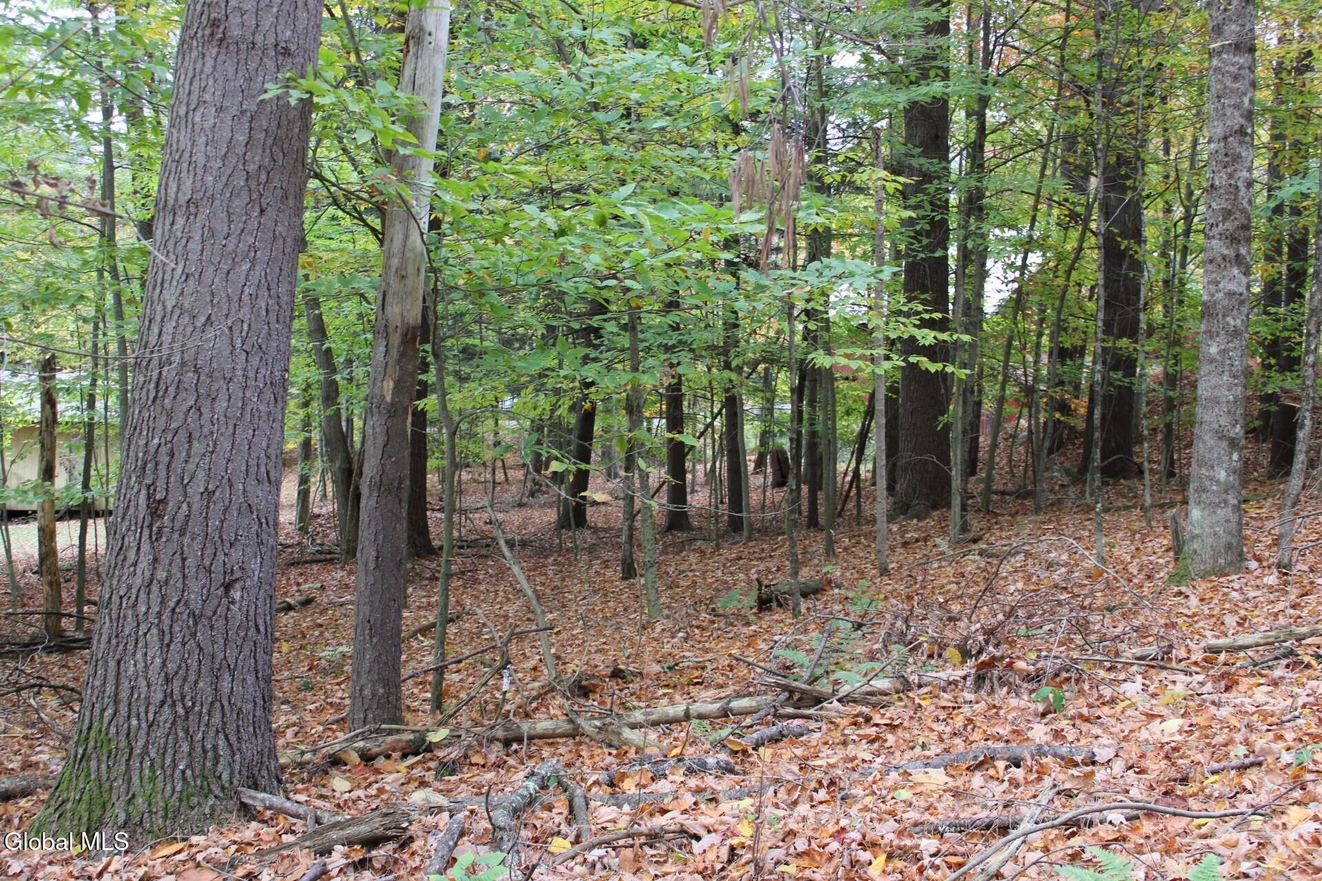 #1 photo, L36 Glen Avenue, Day , NY 12835