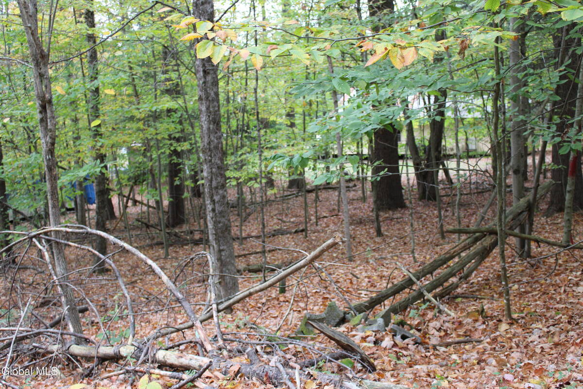 #2 photo, L36 Glen Avenue, Day , NY 12835