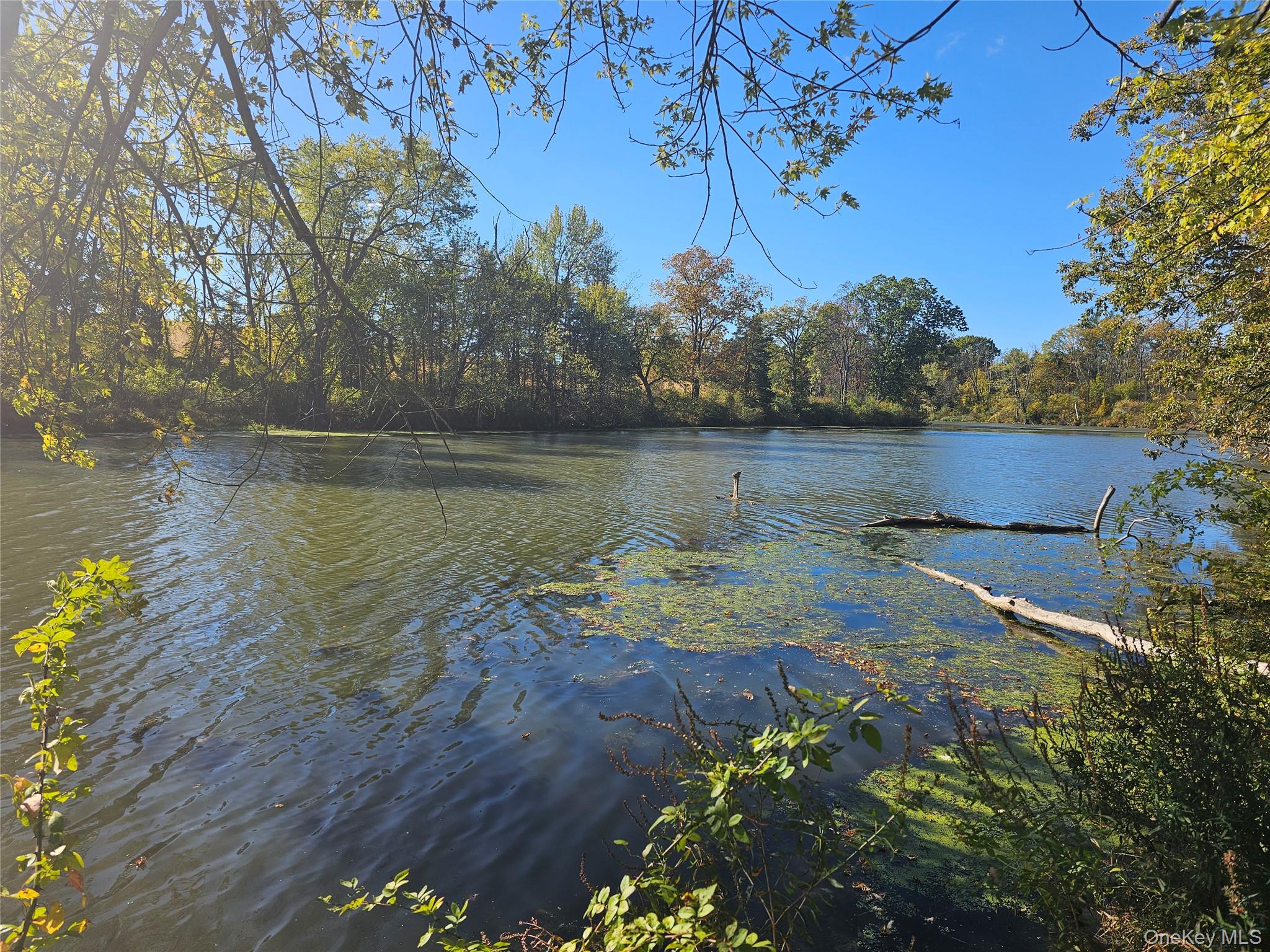 #8 photo, 6580 US Route 9, Hudson , NY 12534