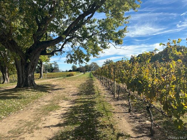 #13 photo, 535 Bay Home Road, サフォーク郡 Southold , NY 11971