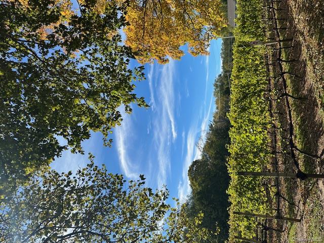 #14 photo, 535 Bay Home Road, サフォーク郡 Southold , NY 11971