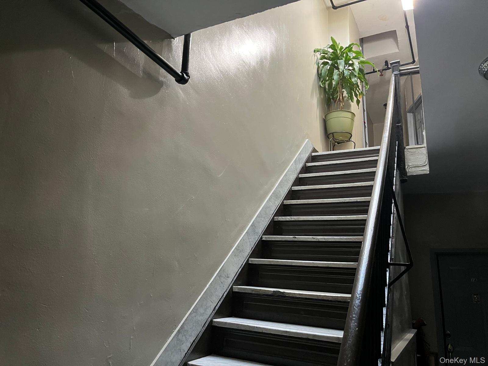 #8 photo, 4036 100th Street, Corona , NY 11368