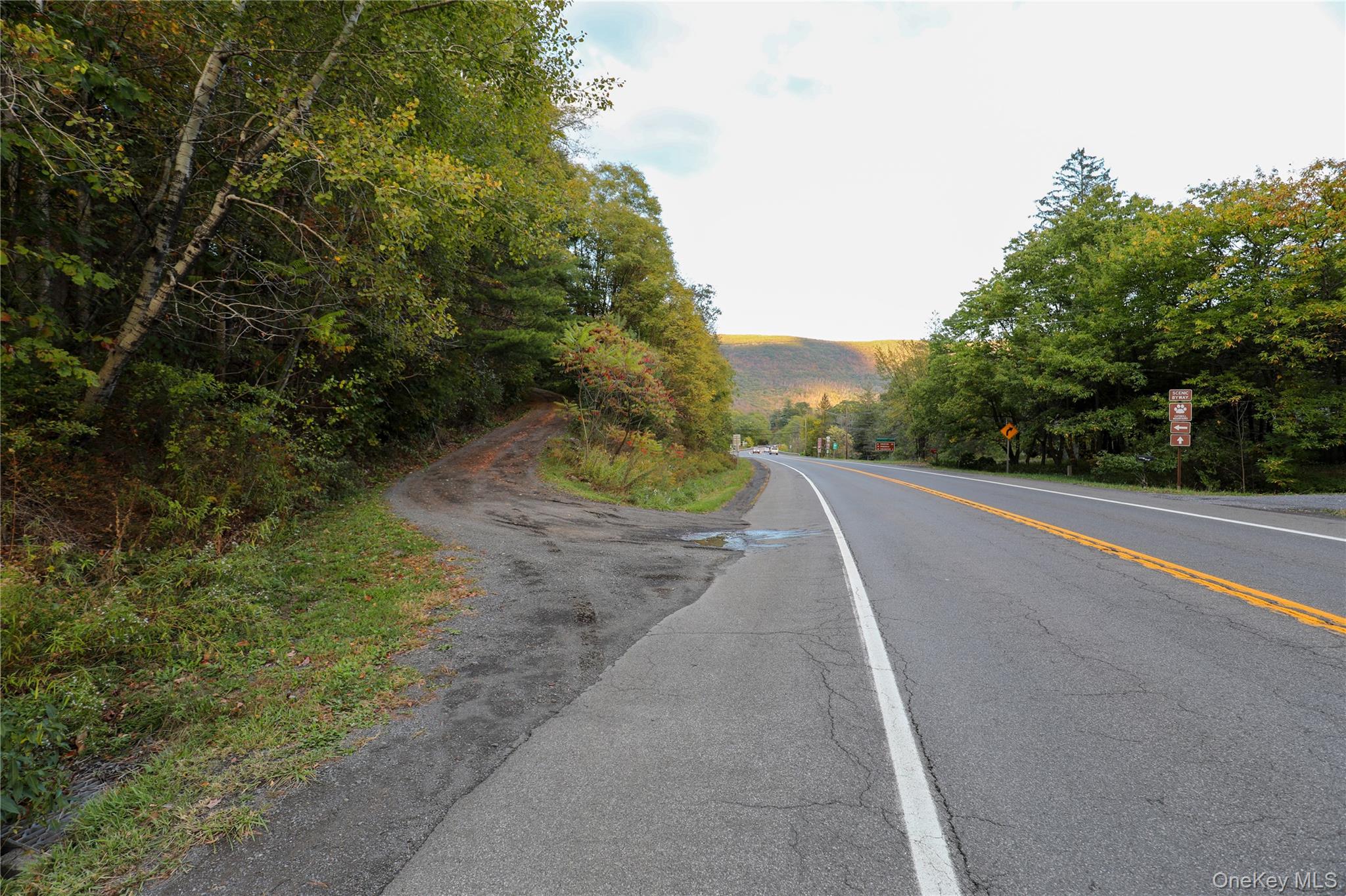 #1 photo, TBD NY-28 Route, Phoenicia , NY 