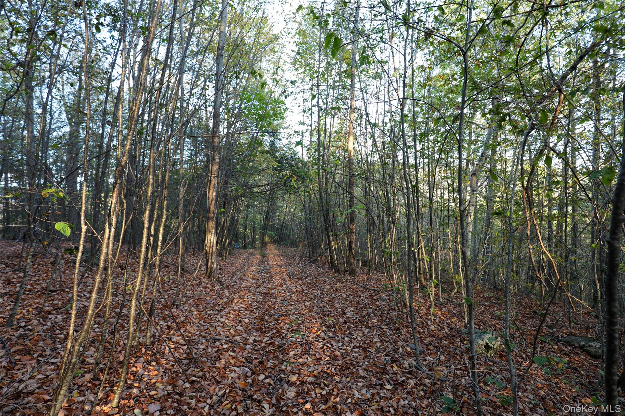 #10 photo, TBD NY-28 Route, Phoenicia , NY 