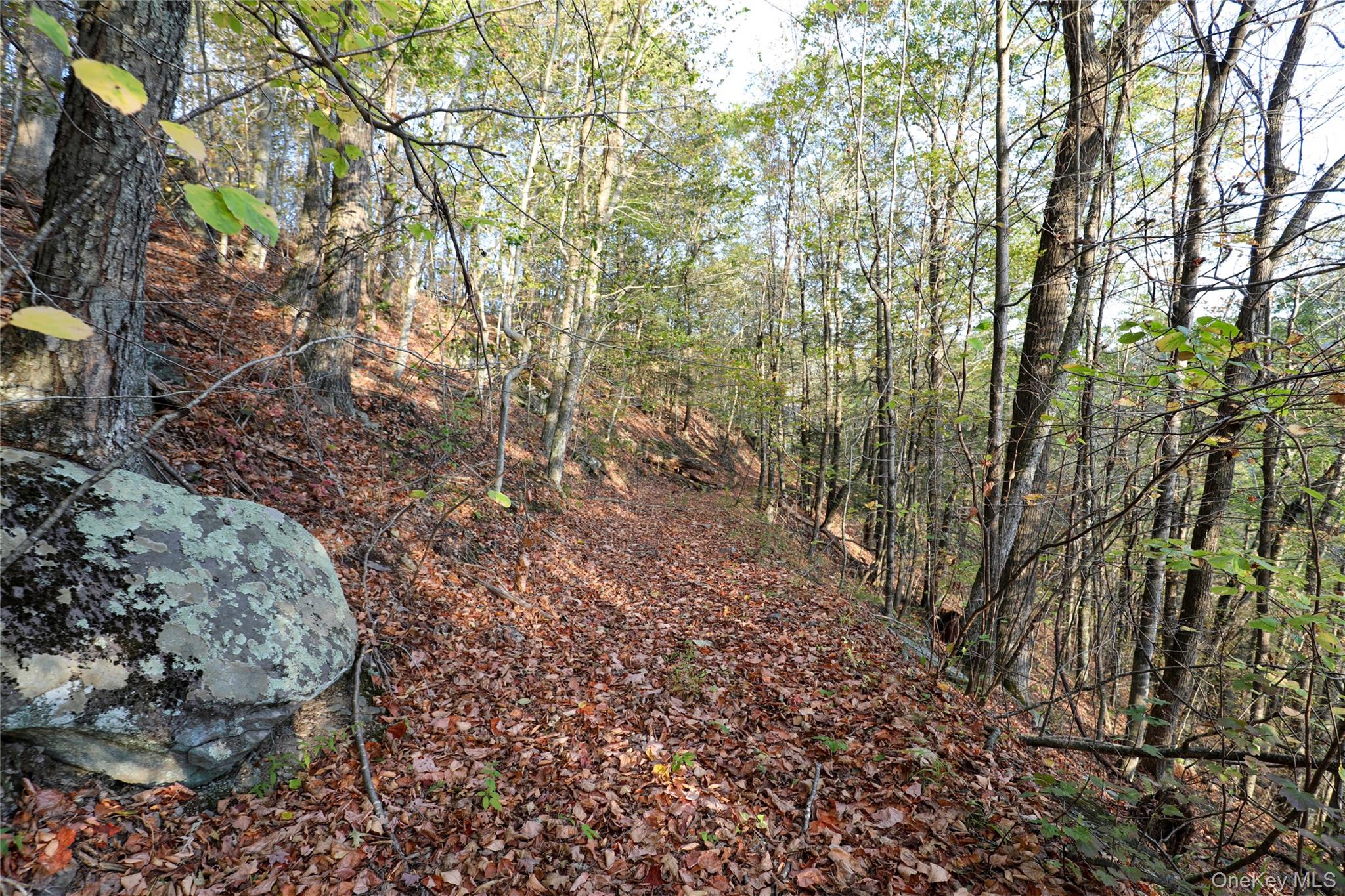 #11 photo, TBD NY-28 Route, Phoenicia , NY 