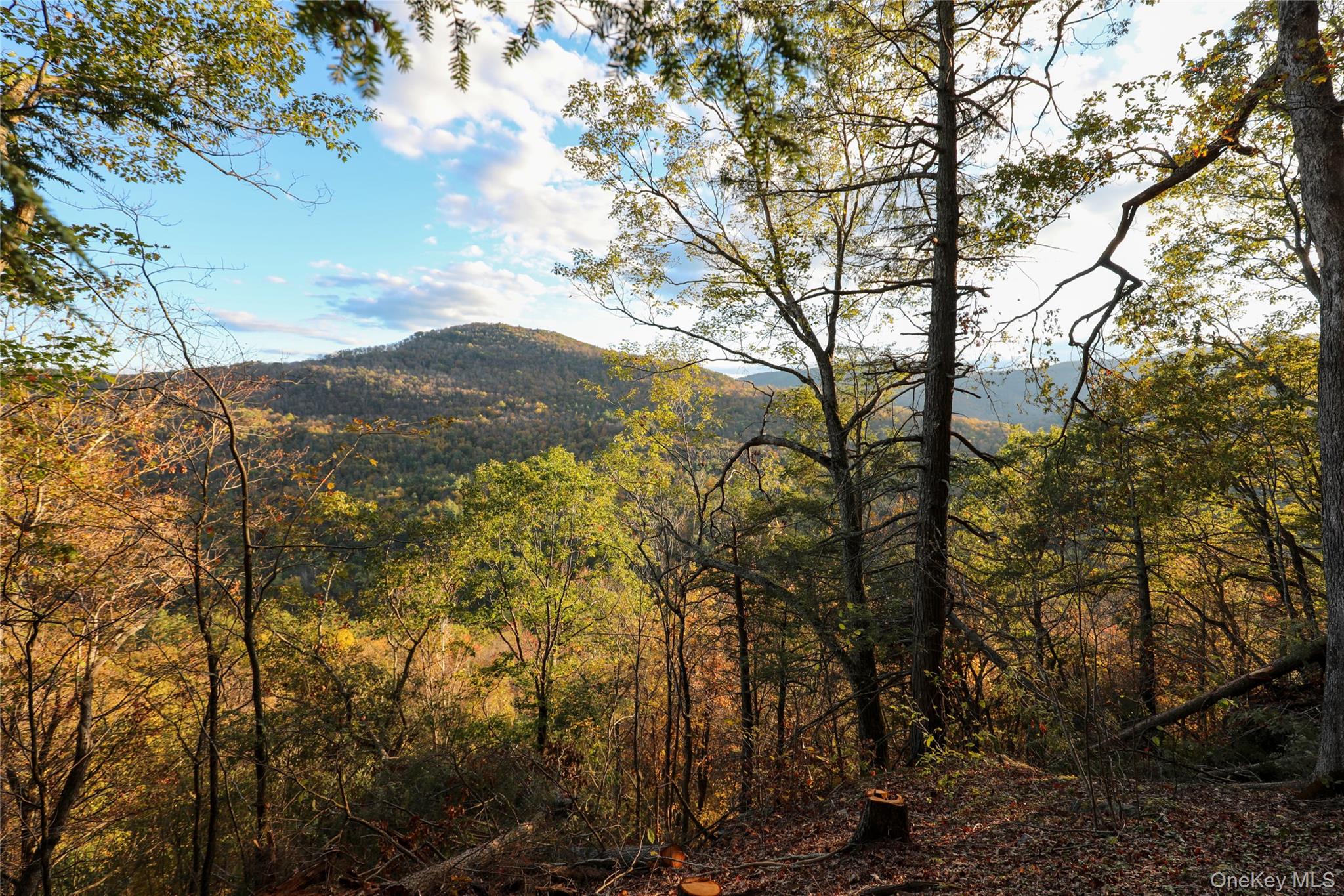 #3 photo, TBD NY-28 Route, Phoenicia , NY 