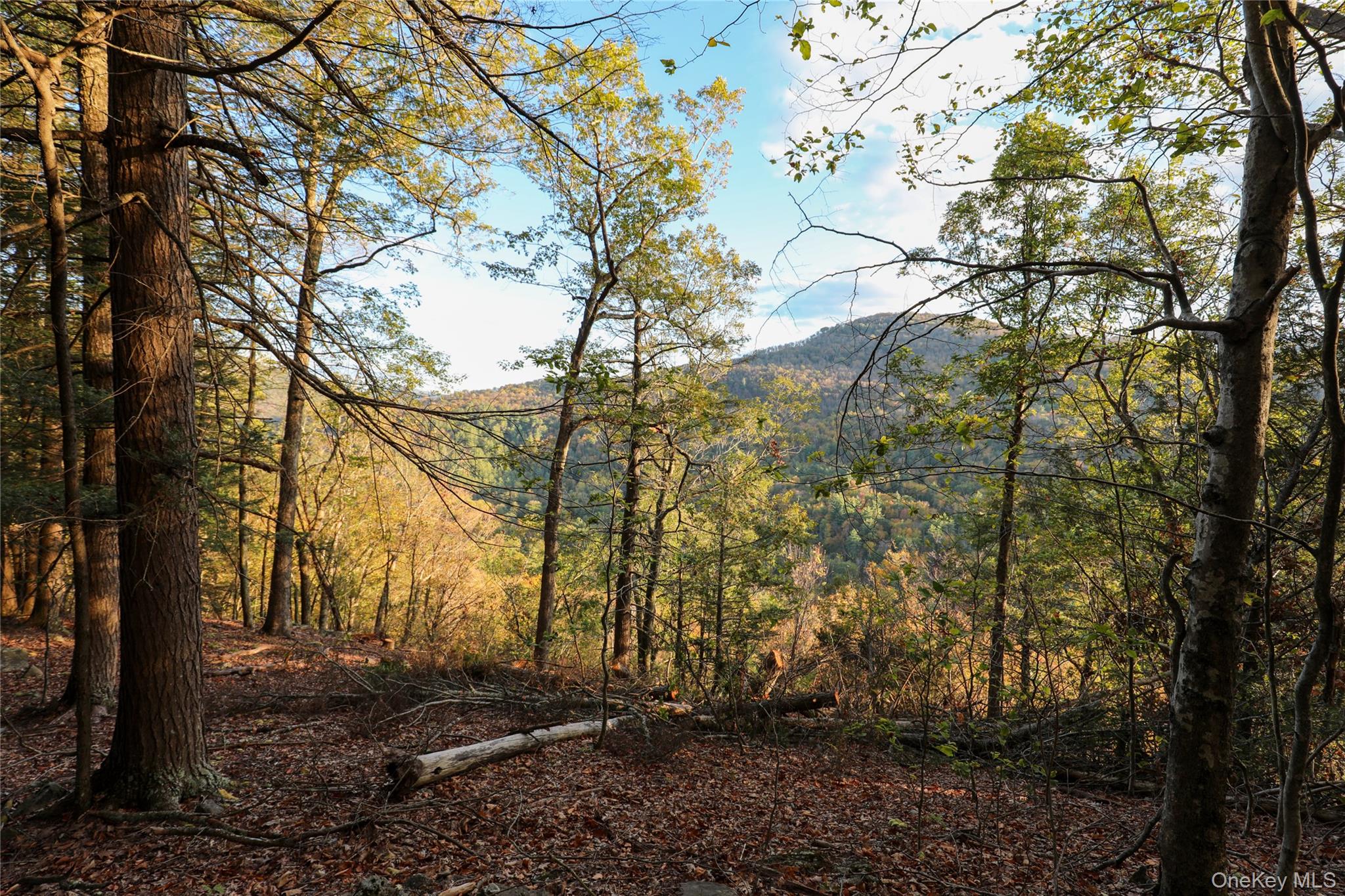 #4 photo, TBD NY-28 Route, Phoenicia , NY 