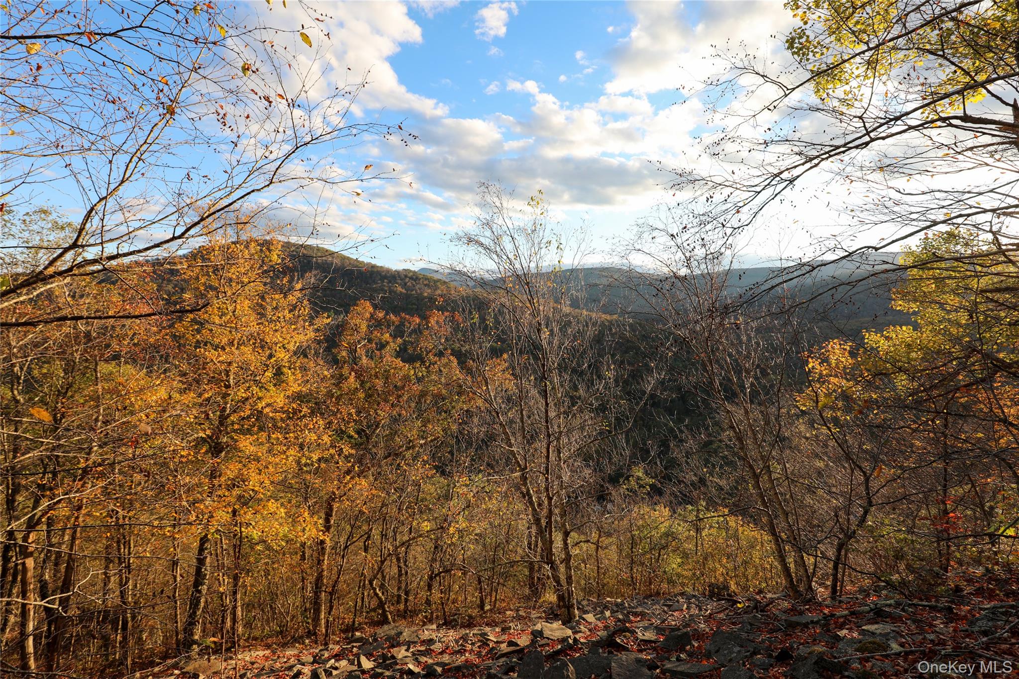 #5 photo, TBD NY-28 Route, Phoenicia , NY 