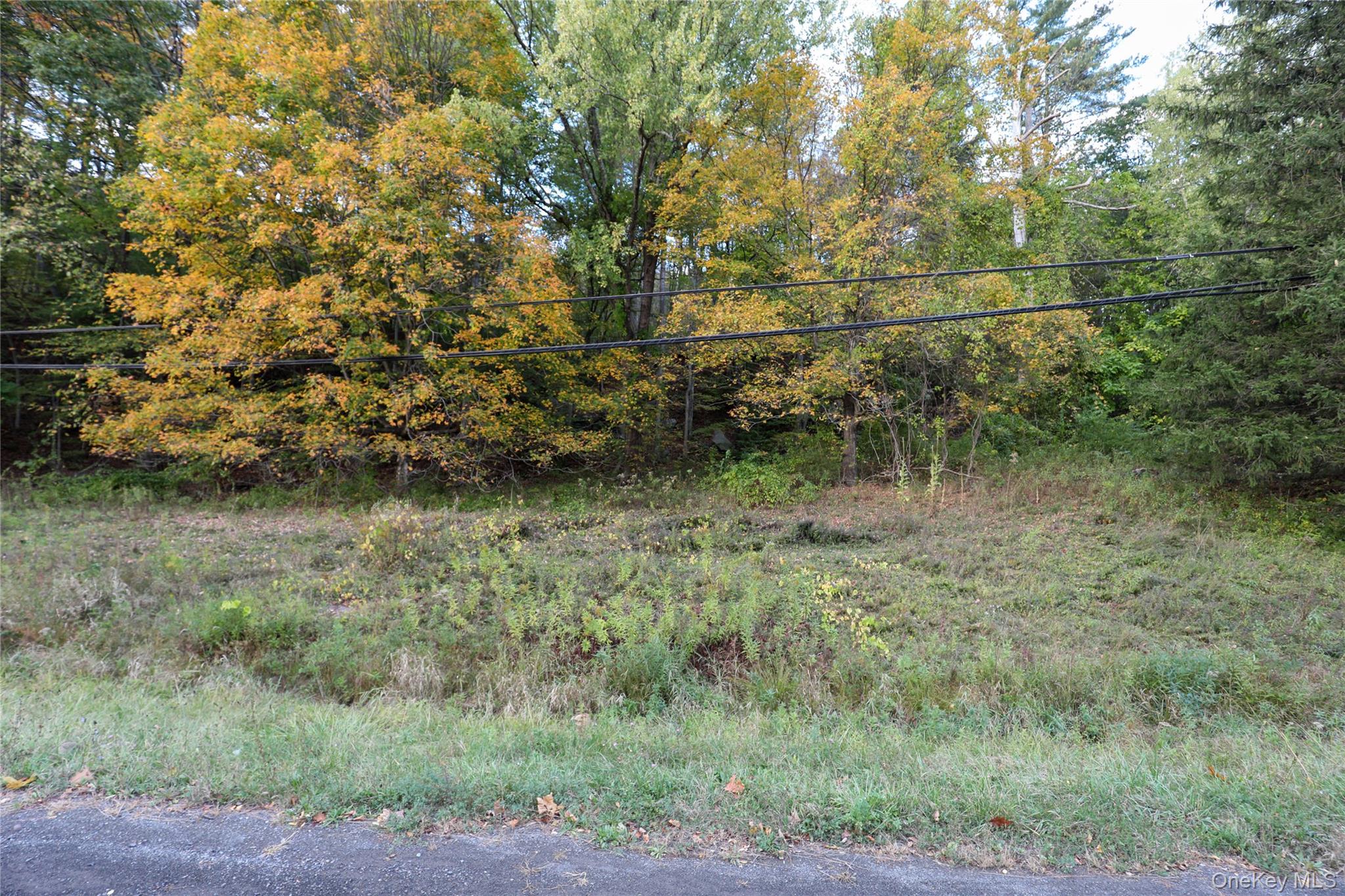 #8 photo, TBD NY-28 Route, Phoenicia , NY 