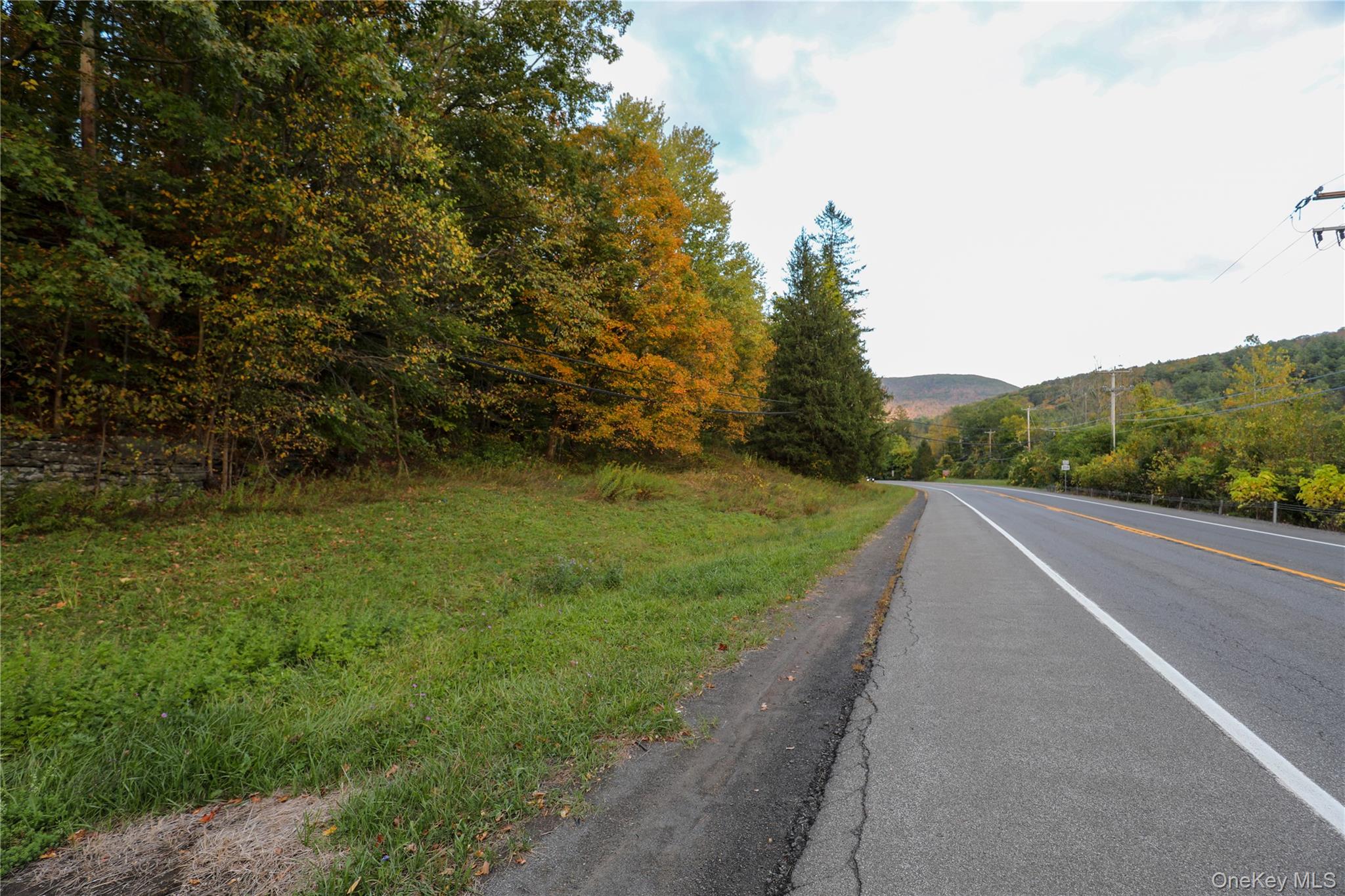 #9 photo, TBD NY-28 Route, Phoenicia , NY 