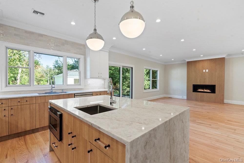 #9 photo, 51 Netz Place, Albertson , NY 11507