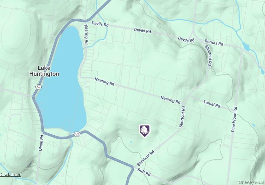 #5 photo, NY-52&Shortcut Rd akaT R 43, Cochecton , NY 12726