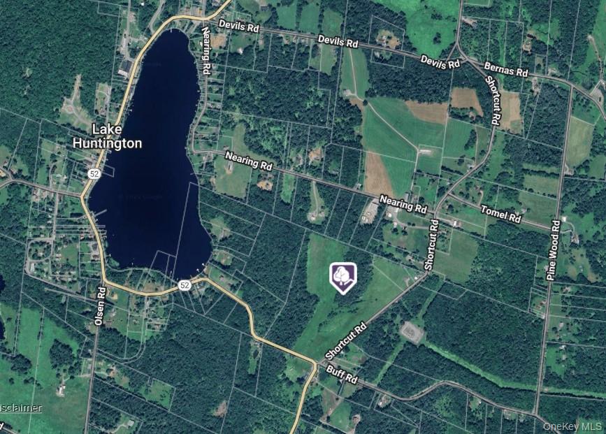 #6 photo, NY-52&Shortcut Rd akaT R 43, Cochecton , NY 12726