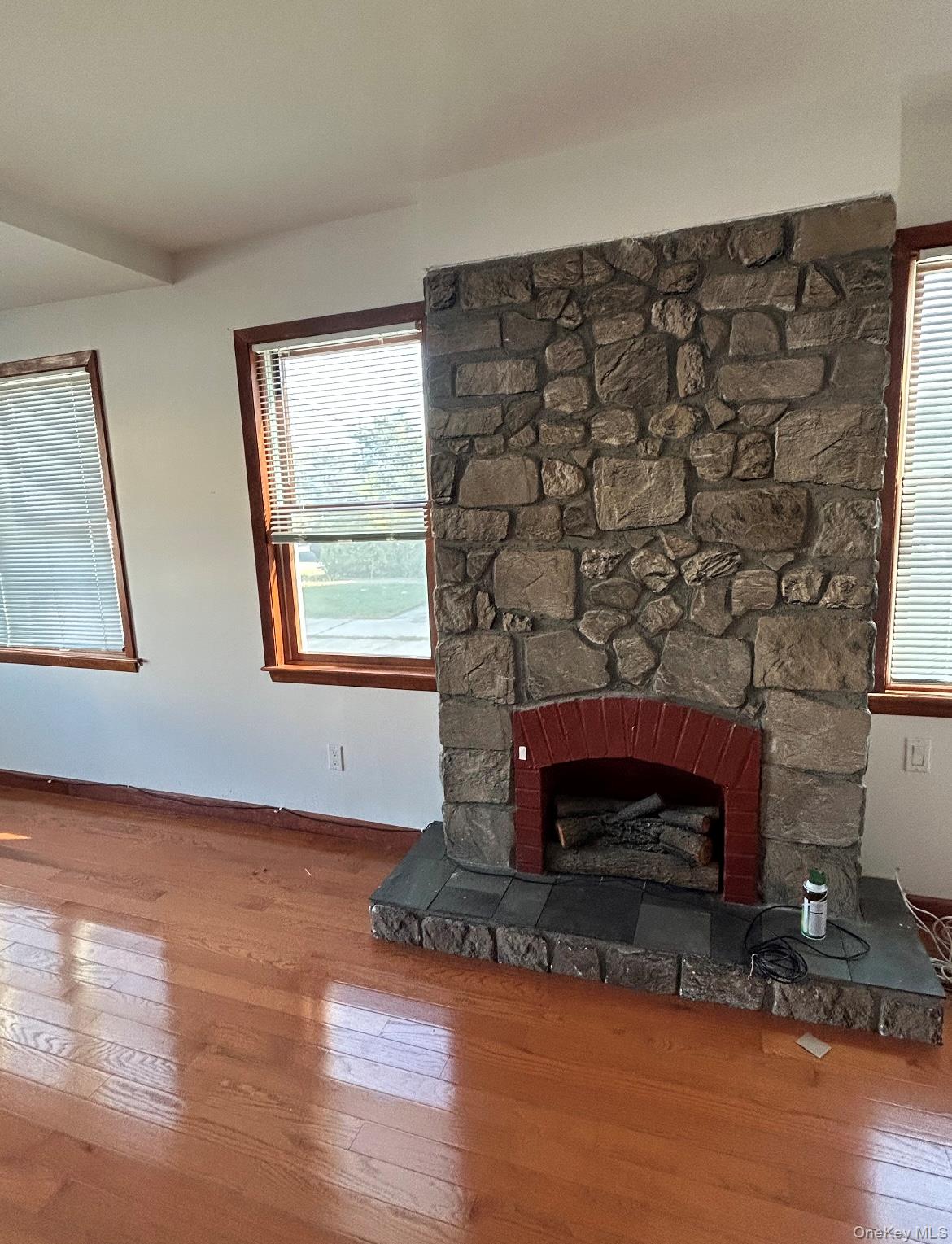 #3 photo, 126 2 Street, ナッソー郡 New Hyde Park , NY 11040