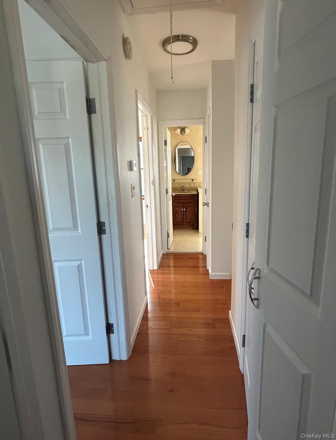 #9 photo, 126 2 Street, ナッソー郡 New Hyde Park , NY 11040