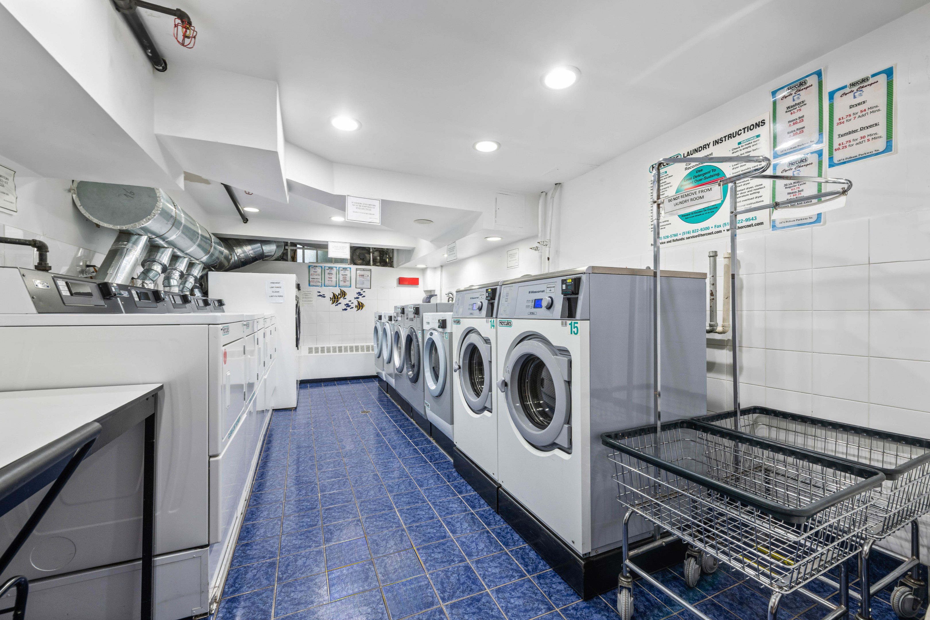 #8 photo, 1874 Pelham Parkway S, ブロンクス区 Pelham Bay , NY 10461