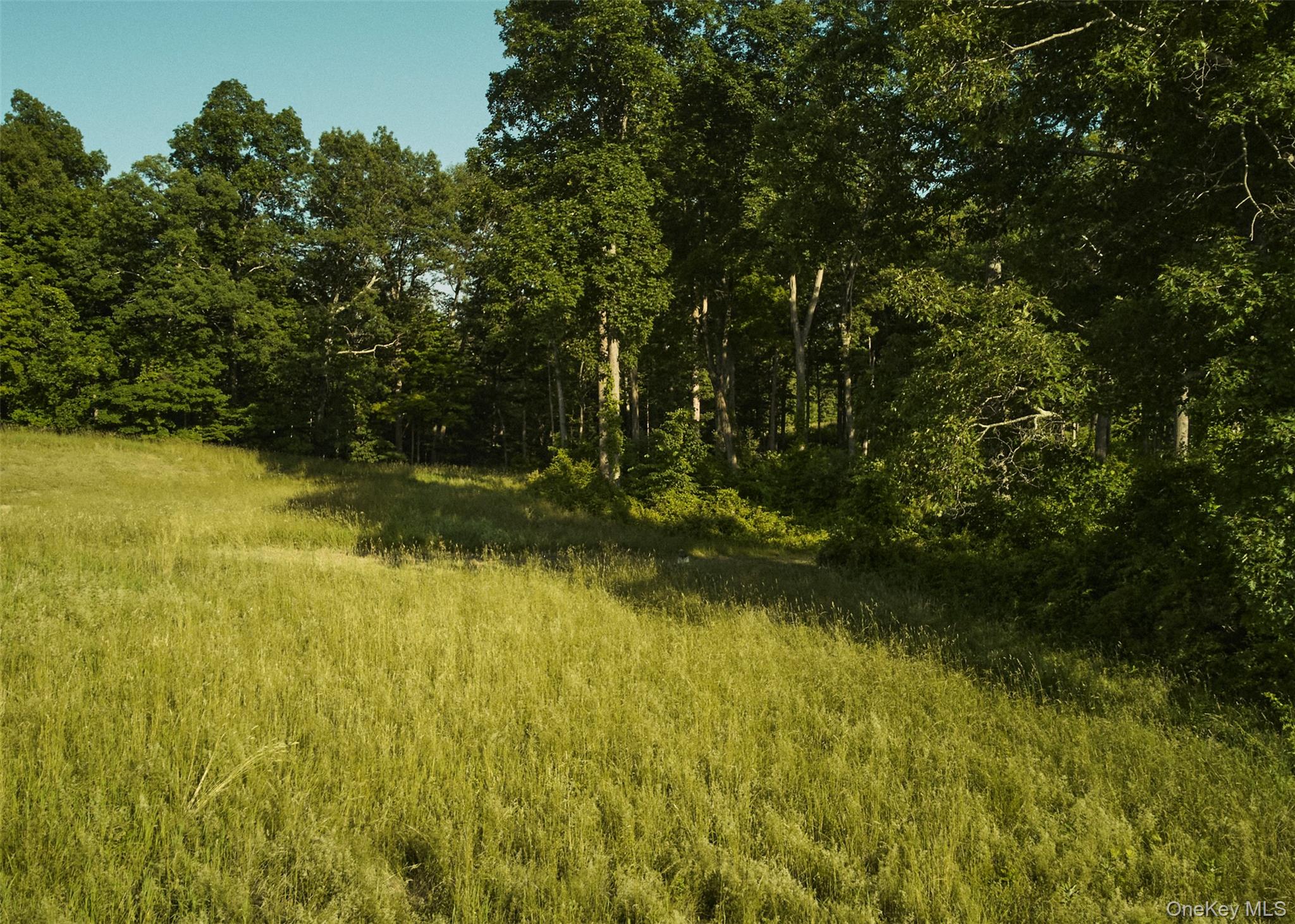 #13 photo, 73, 78,79 Fox Lane, Tivoli , NY 12583