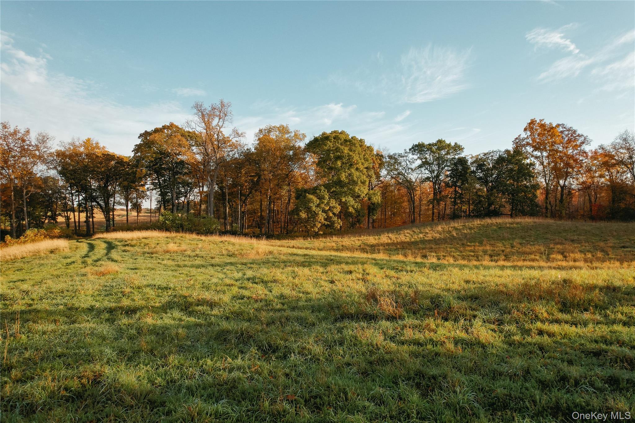 #18 photo, 73, 78,79 Fox Lane, Tivoli , NY 12583