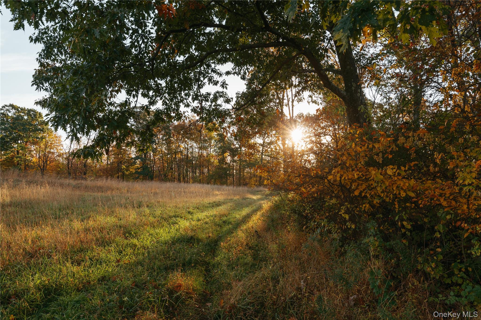 #19 photo, 73, 78,79 Fox Lane, Tivoli , NY 12583