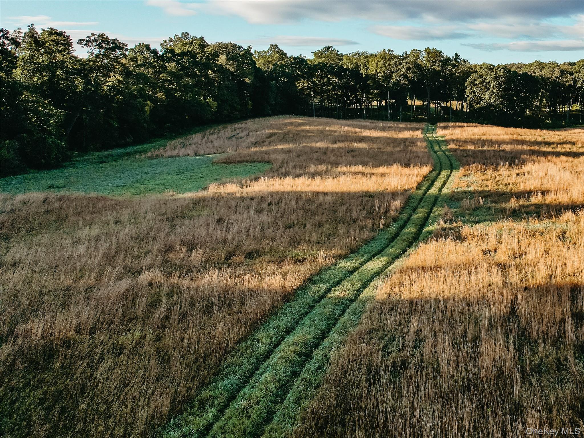 #4 photo, 73, 78,79 Fox Lane, Tivoli , NY 12583