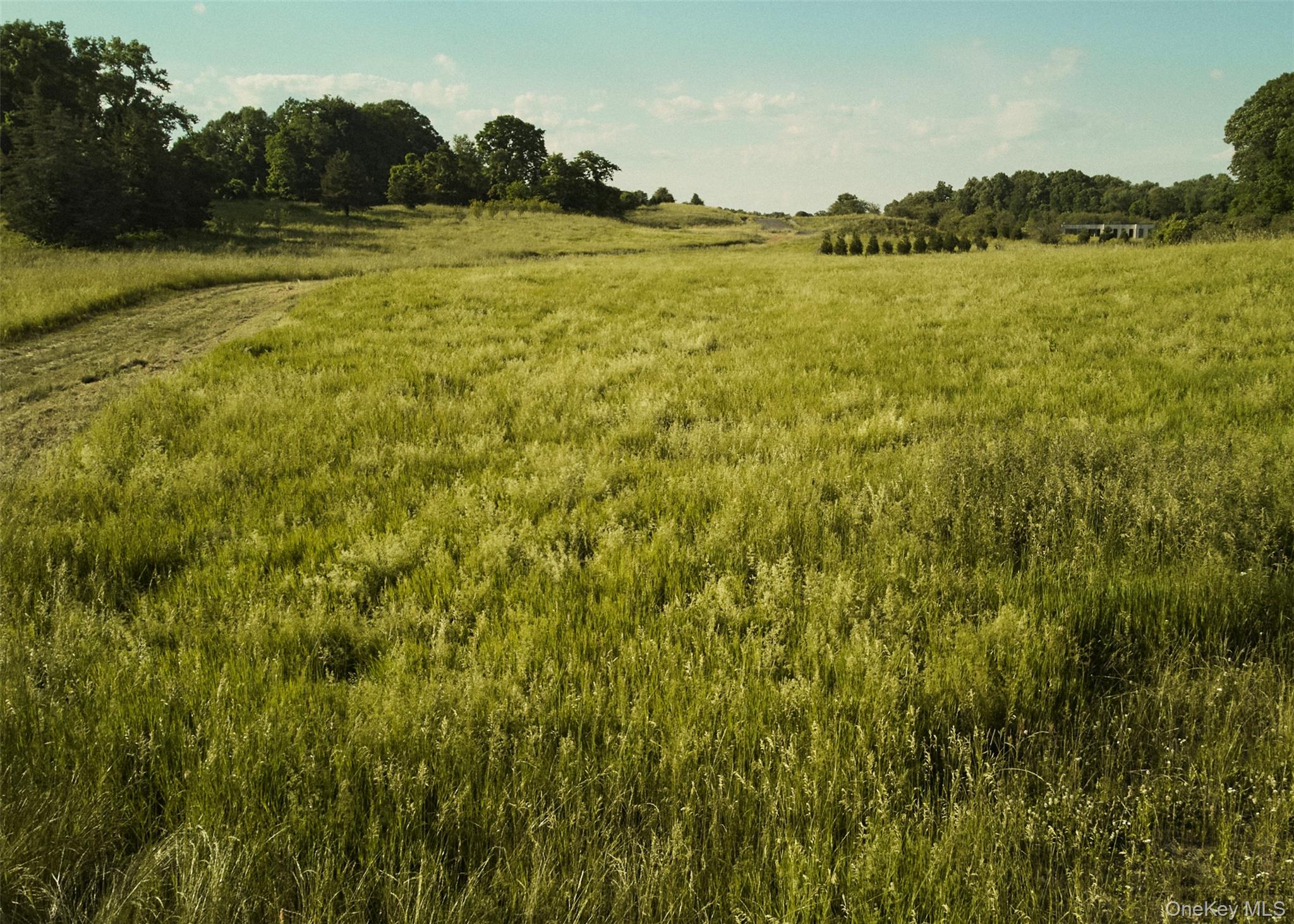 #7 photo, 73, 78,79 Fox Lane, Tivoli , NY 12583