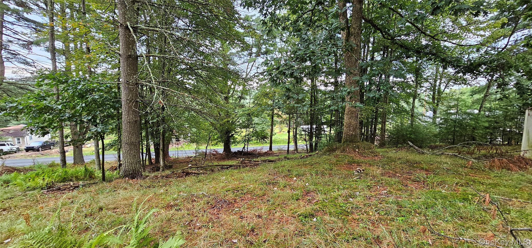 #8 photo, 126 Tusten Mountain Lake Road, Narrowsburg , NY 12764