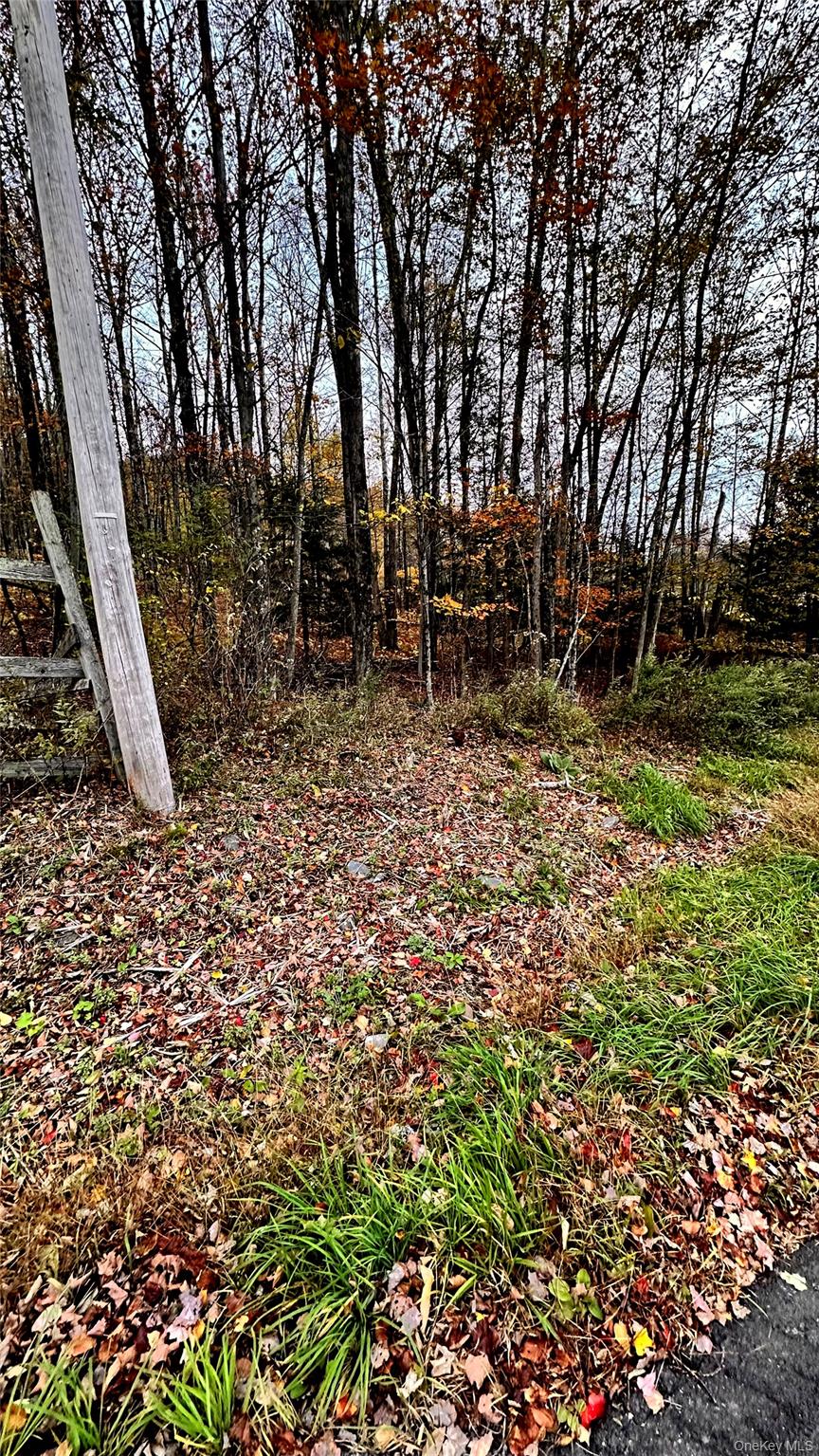 #1 photo, TBD Hysana Road, Fallsburg , NY 12733
