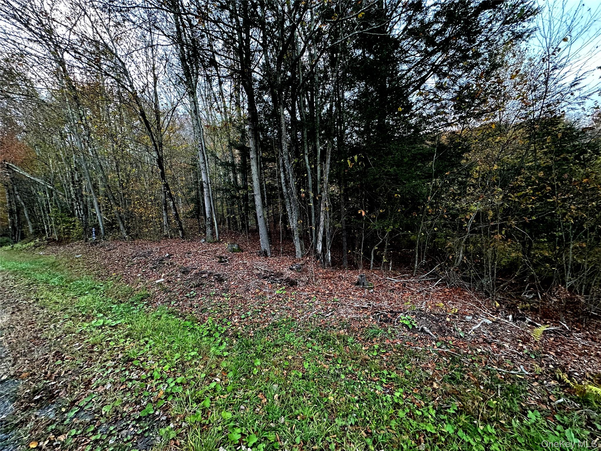 #10 photo, TBD Hysana Road, Fallsburg , NY 12733