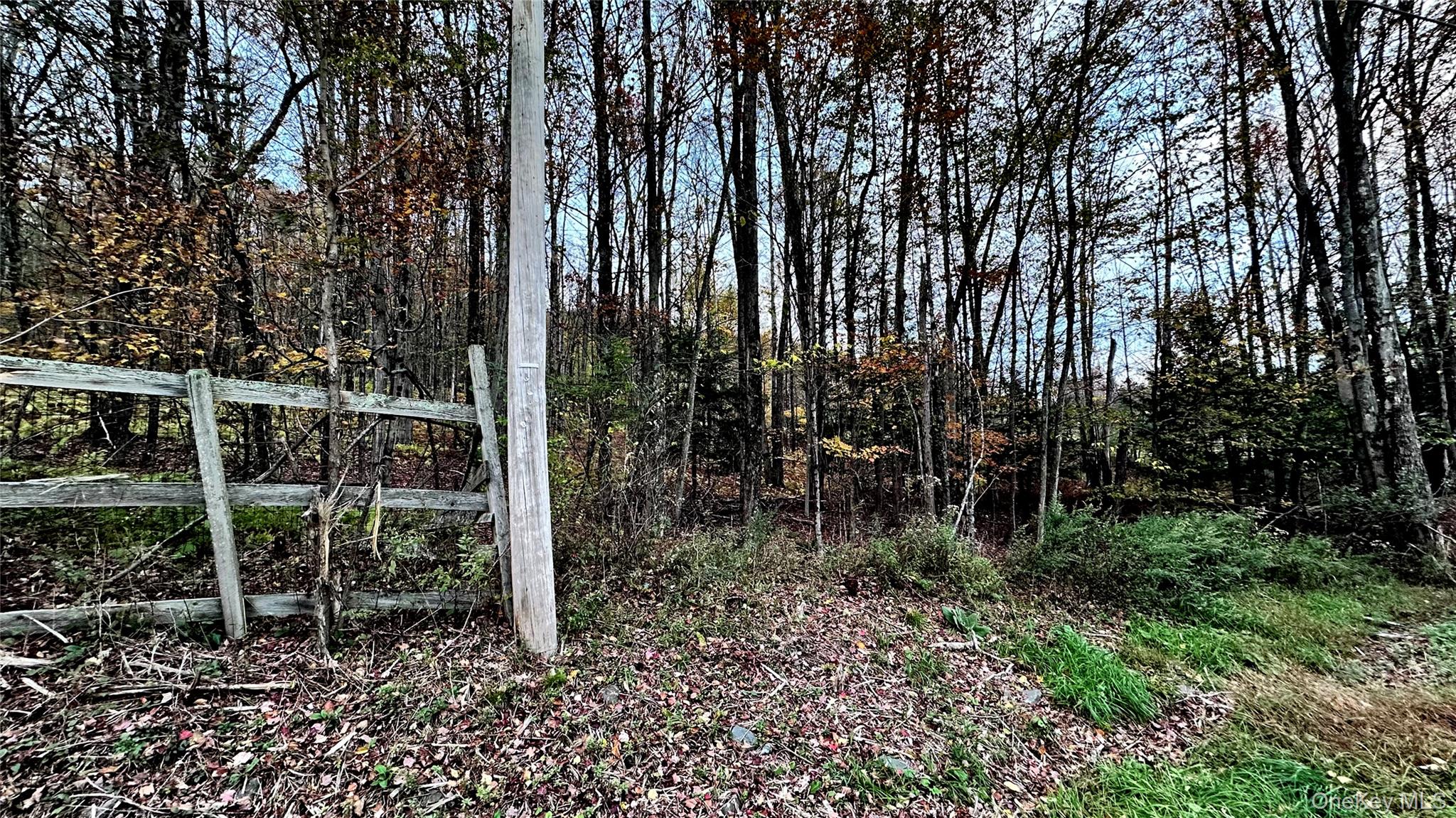 #2 photo, TBD Hysana Road, Fallsburg , NY 12733